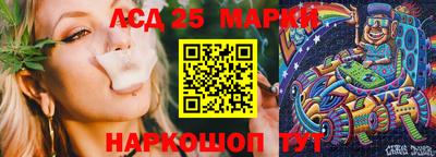 индика Волгодонск