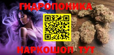 индика Волгодонск