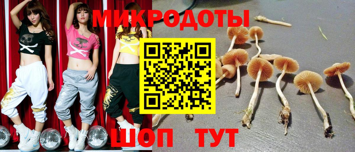 Галлюциногенные грибы Cubensis  Вход с VPN  Коряжма 