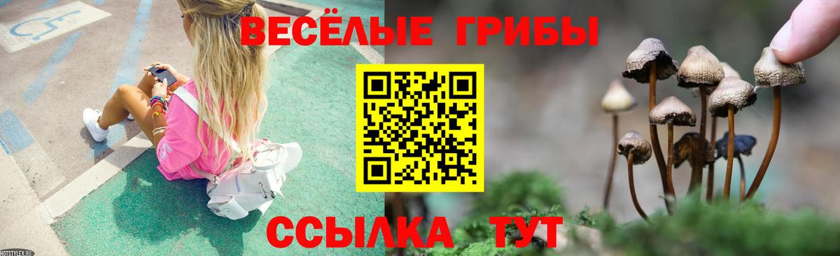 Галлюциногенные грибы мицелий Коряжма